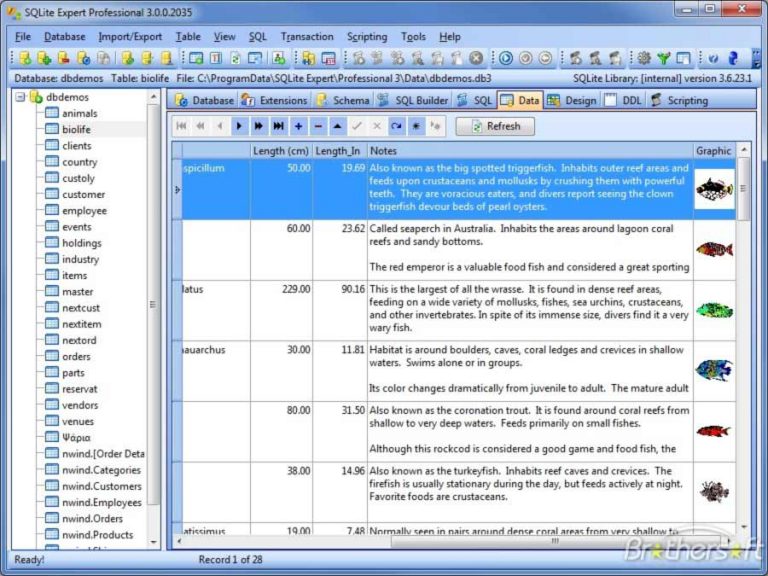sqlite expert professional 5434578 x86x64 kostenloser download.jpg