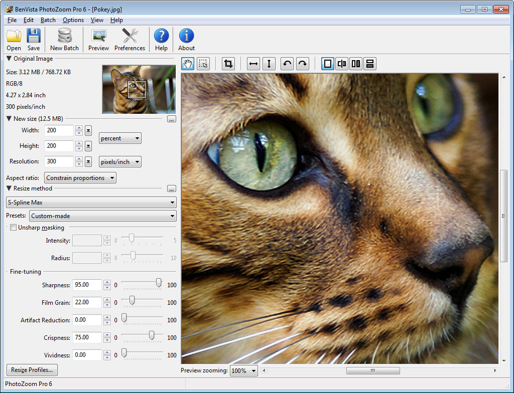 benvista photozoom pro 810 win plugin fur photoshop 71.jpg