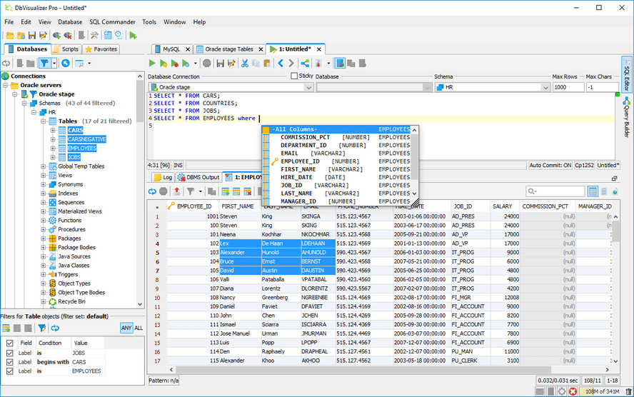 dbvisualizer pro 1401 x64 1306 x86 kostenloser download.png