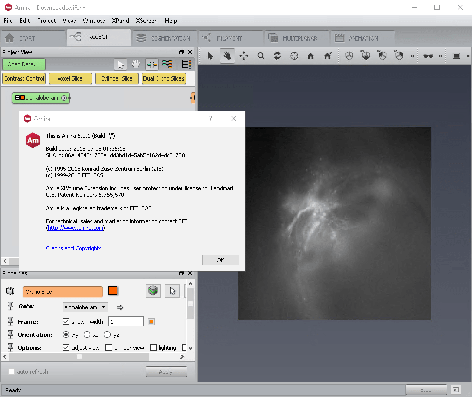fei amira 601 x64 kostenloser download.png