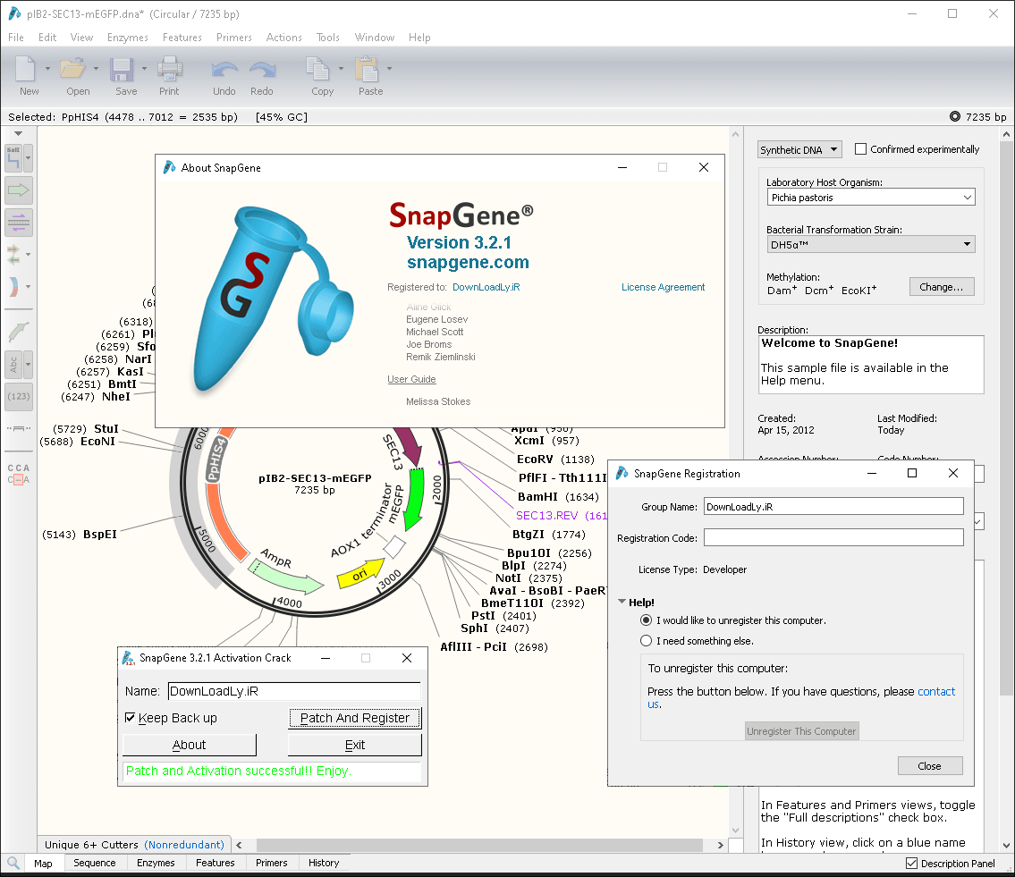gsl biotech snapgene 531 windowsmacos kostenloser download.png