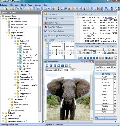 postgresql maestro 221001 mehrsprachiger kostenloser download.jpg