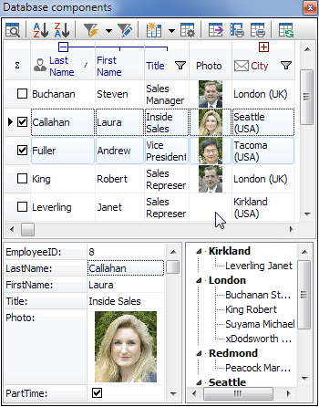 rosinsky components vcl source full 171 kostenloser download.png