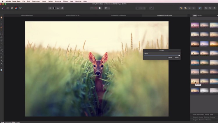 serif affinity photo 11051342 x64 200 200 macos kostenloser download.jpg