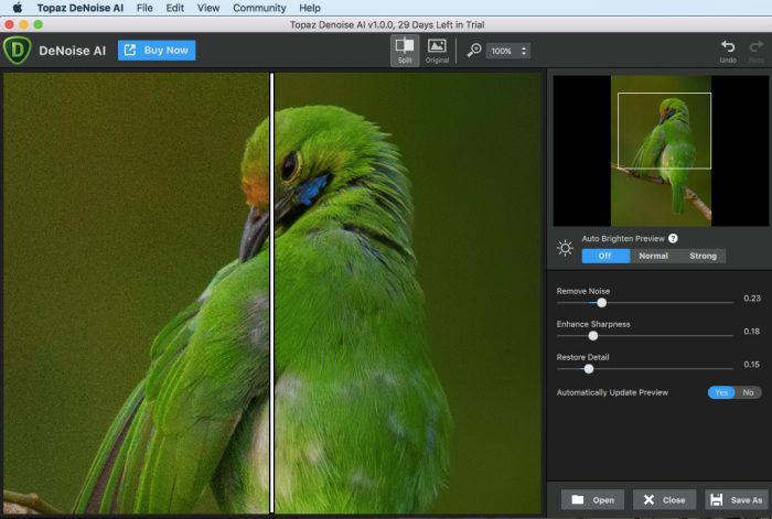 topaz denoise ai 371 x64 kostenloser download.jpg