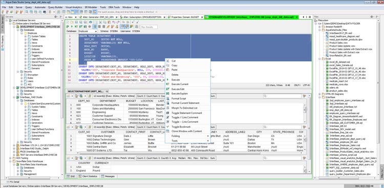embarcadero interbase 2020 v1430707 kostenloser download.jpg