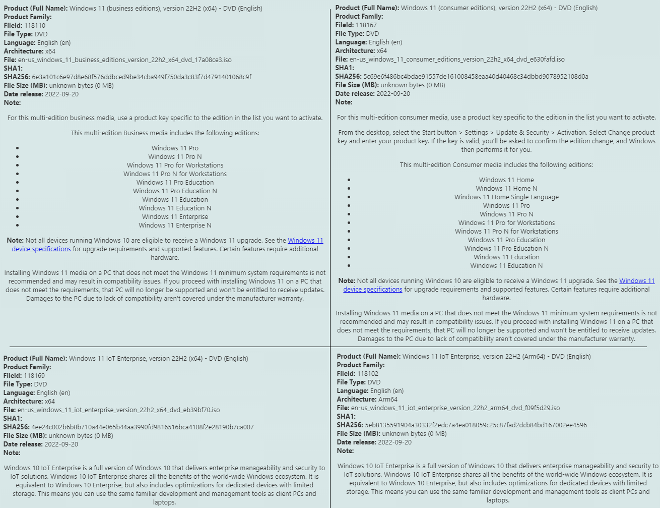 microsoft windows 11 version 22h2 dezember 2022 msdn x64 kostenloser.png